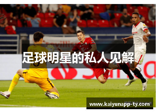 足球明星的私人见解